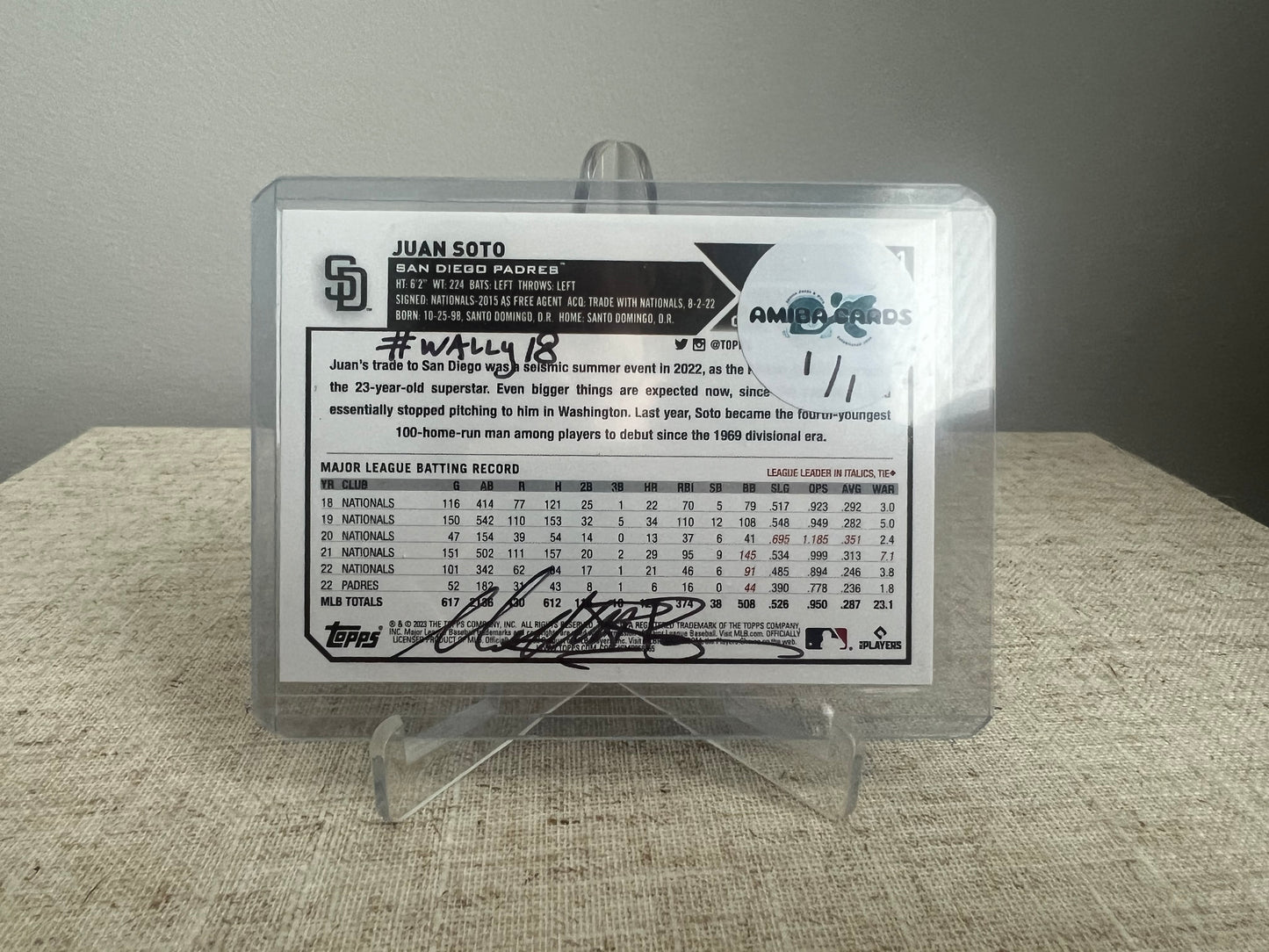 Where's Juan? Find The Player Search Card - Juan Soto - San Diego Padres - MLB - Custom Art Baseball Trading Card - 2023 - 1/1 Trading Card - Designed & Printed by AMiBa Cards